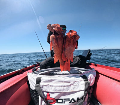 Fathom 3 Insulated Cooler Bag, Rockfish 32"L x 12"W x 18"H