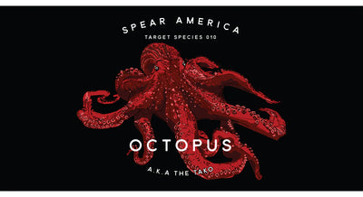 Spear America Towels